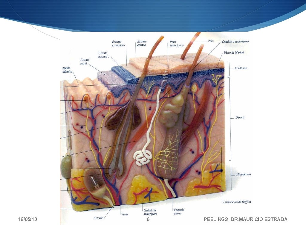 18/05/13 6 PEELINGS DR. MAURICIO ESTRADA 