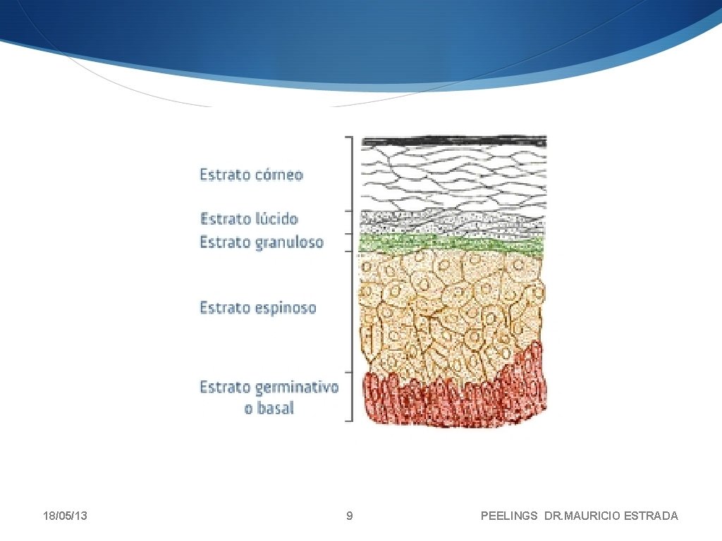 18/05/13 9 PEELINGS DR. MAURICIO ESTRADA 