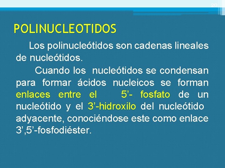 20 POLINUCLEOTIDOS Los polinucleótidos son cadenas lineales de nucleótidos. Cuando los nucleótidos se condensan