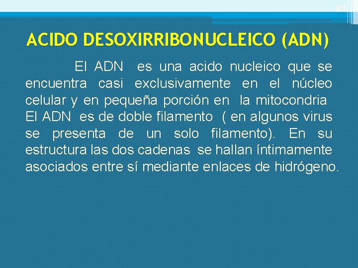 23 ACIDO DESOXIRRIBONUCLEICO (ADN) El ADN es una acido nucleico que se encuentra casi