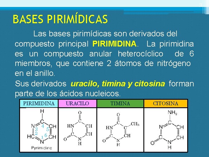3 BASES PIRIMÍDICAS Las bases pirimídicas son derivados del compuesto principal PIRIMIDINA La pirimidina