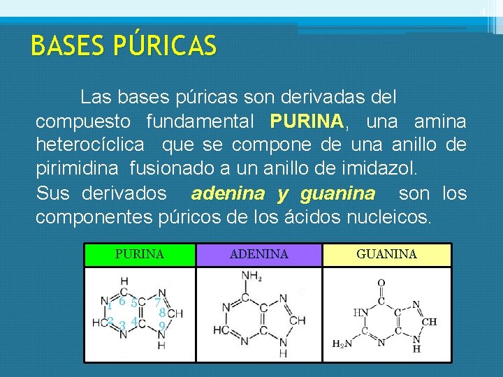 4 BASES PÚRICAS Las bases púricas son derivadas del compuesto fundamental PURINA, PURINA una