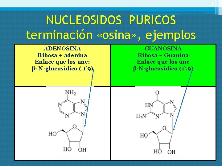 8 NUCLEOSIDOS PURICOS terminación «osina» , ejemplos ADENOSINA Ribosa + adenina Enlace que los