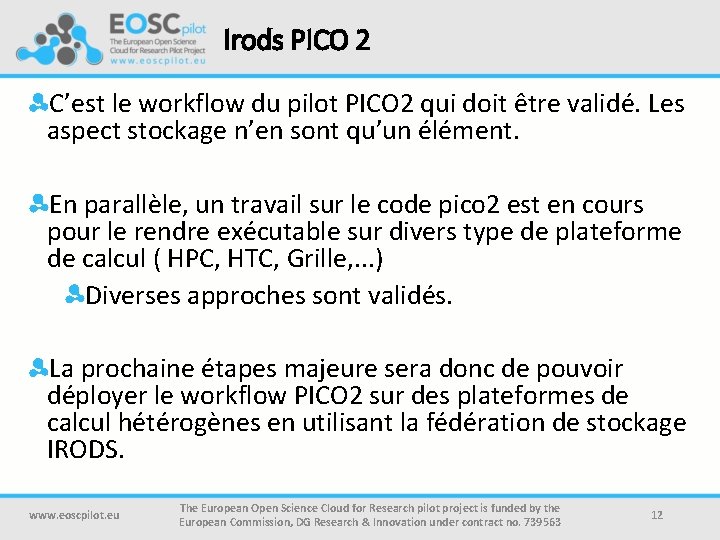 Irods PICO 2 C’est le workflow du pilot PICO 2 qui doit être validé.