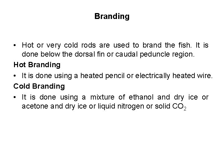 Branding • Hot or very cold rods are used to brand the fish. It