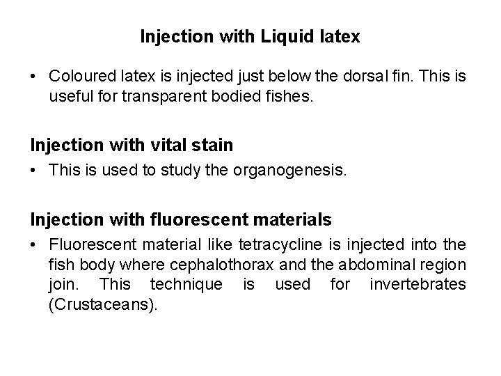 Injection with Liquid latex • Coloured latex is injected just below the dorsal fin.