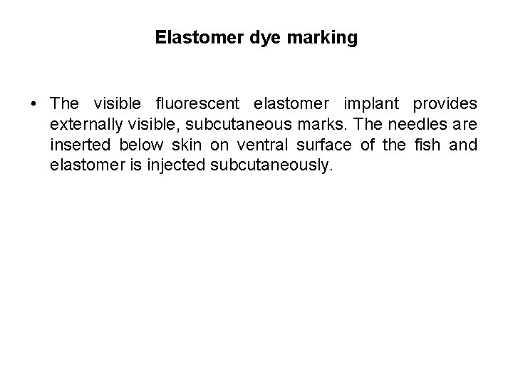 Elastomer dye marking • The visible fluorescent elastomer implant provides externally visible, subcutaneous marks.