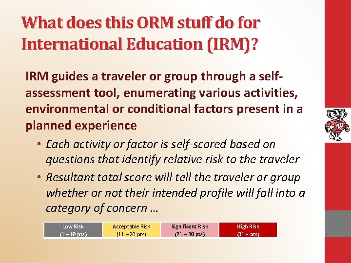 What does this ORM stuff do for International Education (IRM)? IRM guides a traveler