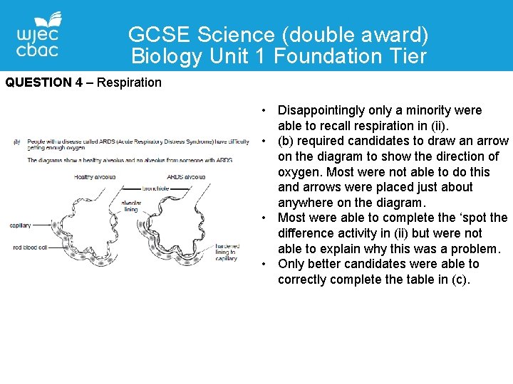 Feedback on GCSE Science double award Biology 2018