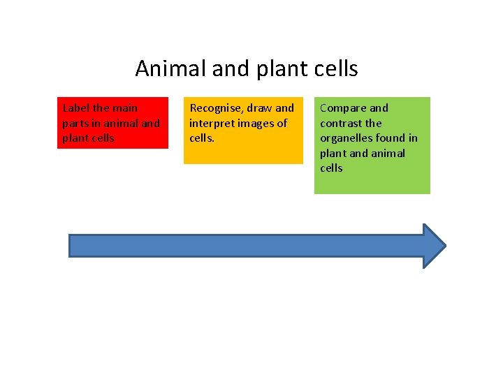 Animal and plant cells Label the main parts in animal and plant cells Recognise,