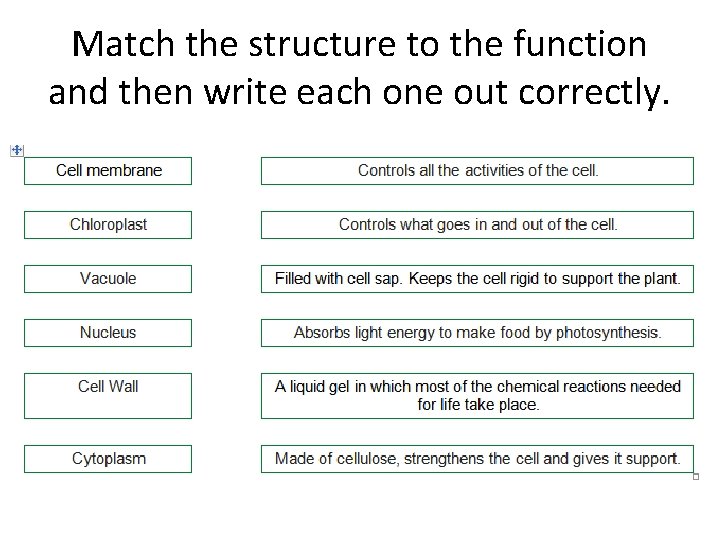 Match the structure to the function and then write each one out correctly. 