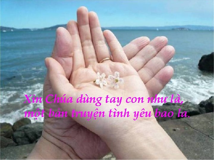 Xin Chúa dùng tay con như là, một bản truyện tình yêu bao la.