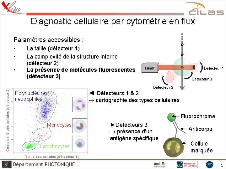 Diagnostic cellulaire par cytométrie en flux Paramètres accessibles : • • • La taille