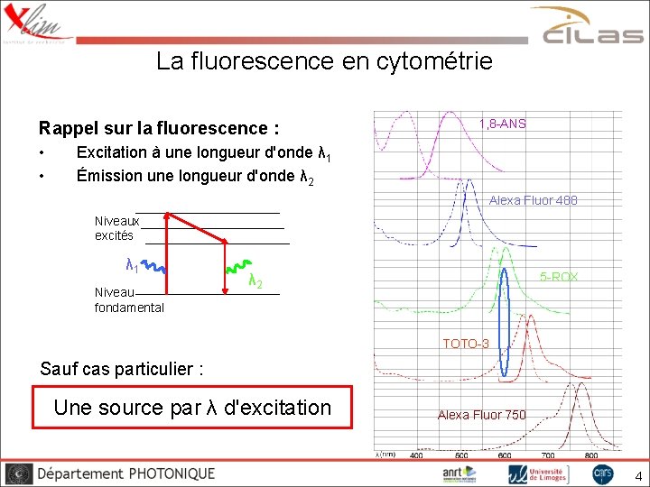 La fluorescence en cytométrie Rappel sur la fluorescence : • • 1, 8 -ANS