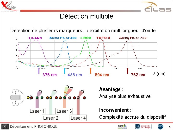 Détection multiple Détection de plusieurs marqueurs → excitation multilongueur d'onde 375 nm 488 nm