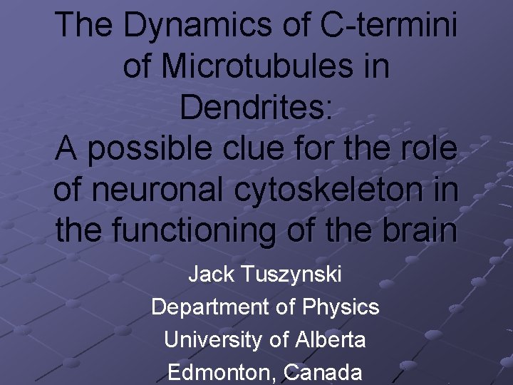 The Dynamics of C-termini of Microtubules in Dendrites: A possible clue for the role