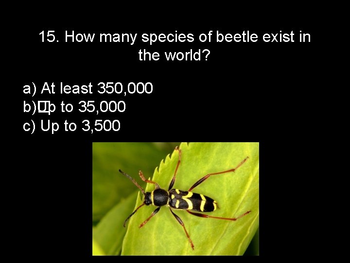 15. How many species of beetle exist in the world? a) At least 350,