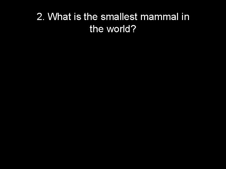 2. What is the smallest mammal in the world? 