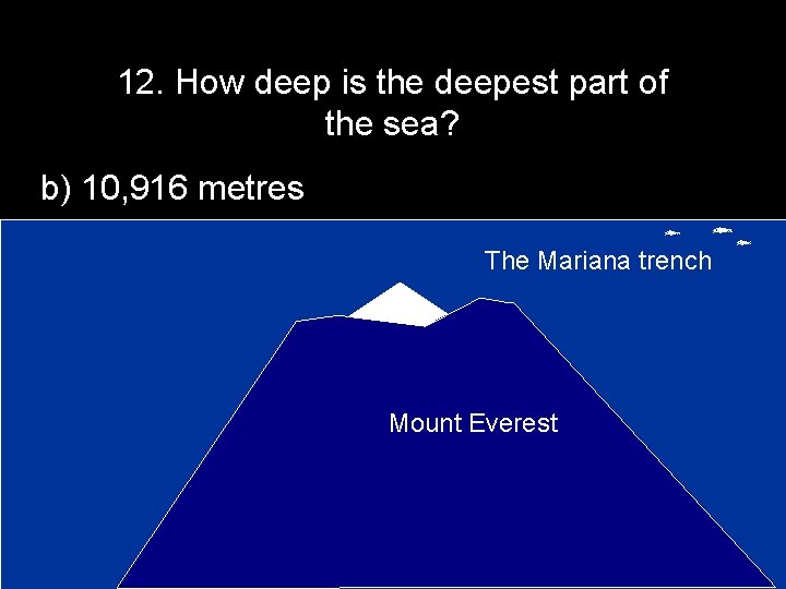 12. How deep is the deepest part of the sea? b) 10, 916 metres
