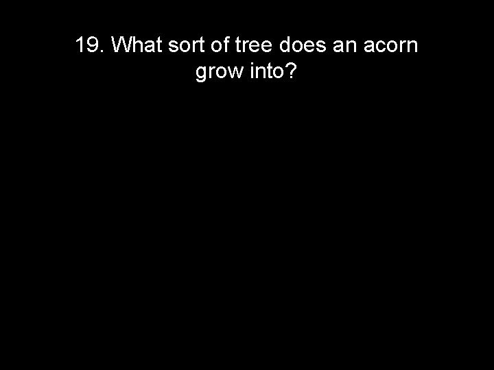 19. What sort of tree does an acorn grow into? 