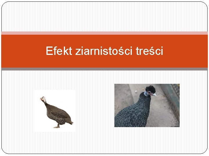Efekt ziarnistości treści 