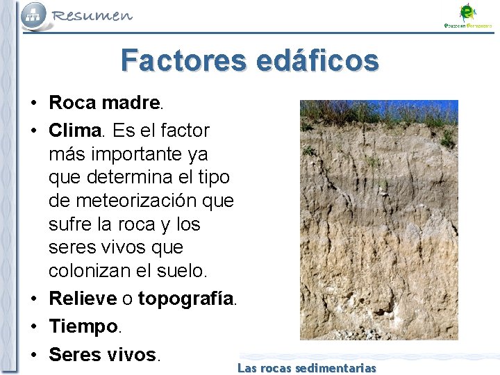 Factores edáficos • Roca madre. • Clima. Es el factor más importante ya que