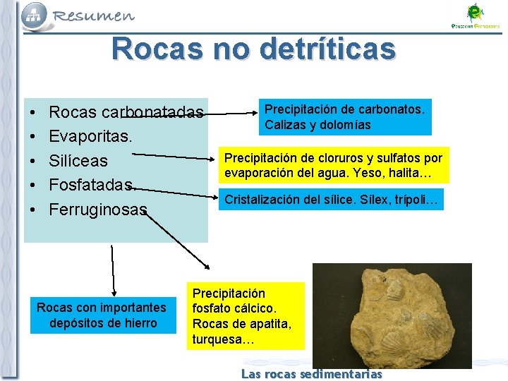 Rocas no detríticas • • • Rocas carbonatadas Evaporitas. Silíceas Fosfatadas. Ferruginosas Rocas con