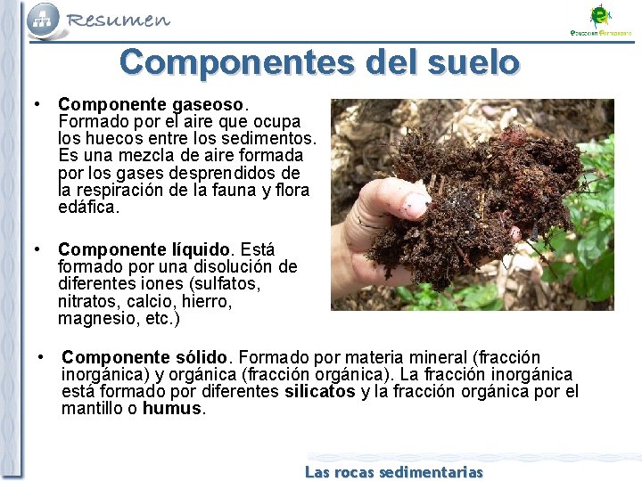 Componentes del suelo • Componente gaseoso. Formado por el aire que ocupa los huecos