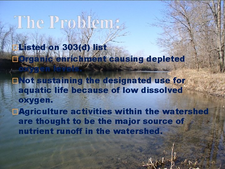The Problem: �Listed on 303(d) list �Organic enrichment causing depleted oxygen levels. �Not sustaining The Problem: �Listed on 303(d) list �Organic enrichment causing depleted oxygen levels. �Not sustaining