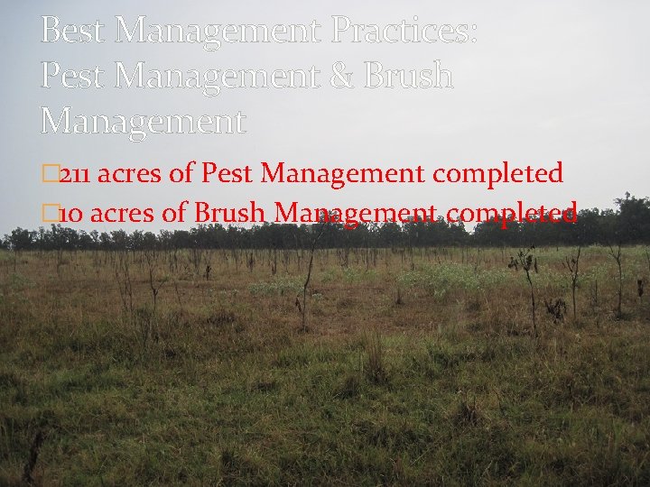 Best Management Practices: Pest Management & Brush Management � 211 acres of Pest Management Best Management Practices: Pest Management & Brush Management � 211 acres of Pest Management