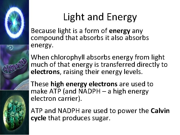 Light and Energy Because light is a form of energy any compound that absorbs