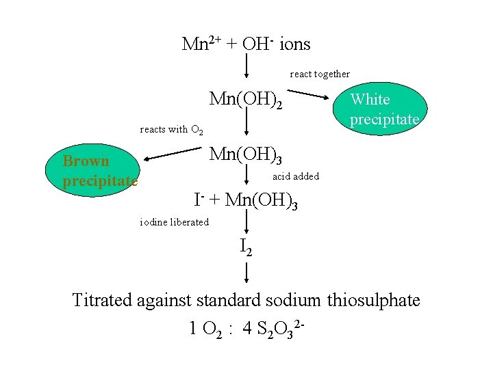 Mn 2+ + OH- ions react together Mn(OH)2 reacts with O 2 Brown precipitate