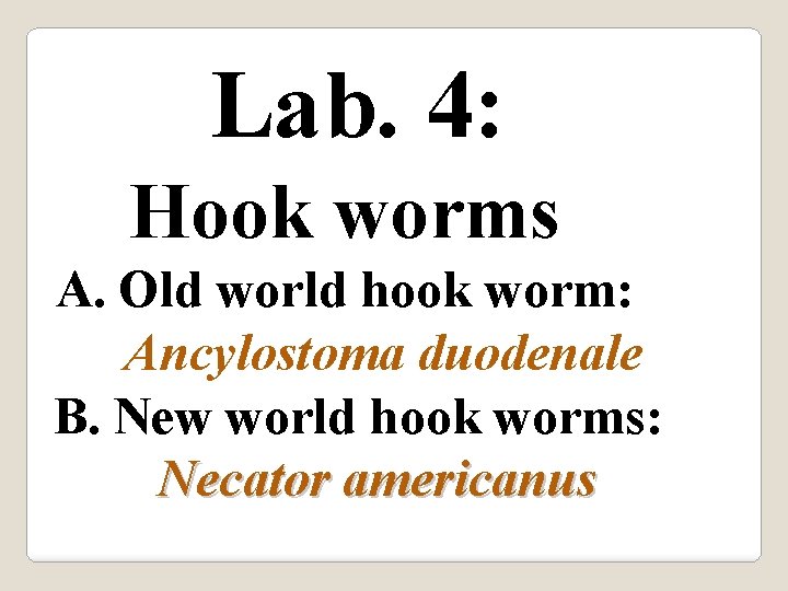 Lab. 4: Hook worms A. Old world hook worm: Ancylostoma duodenale B. New world
