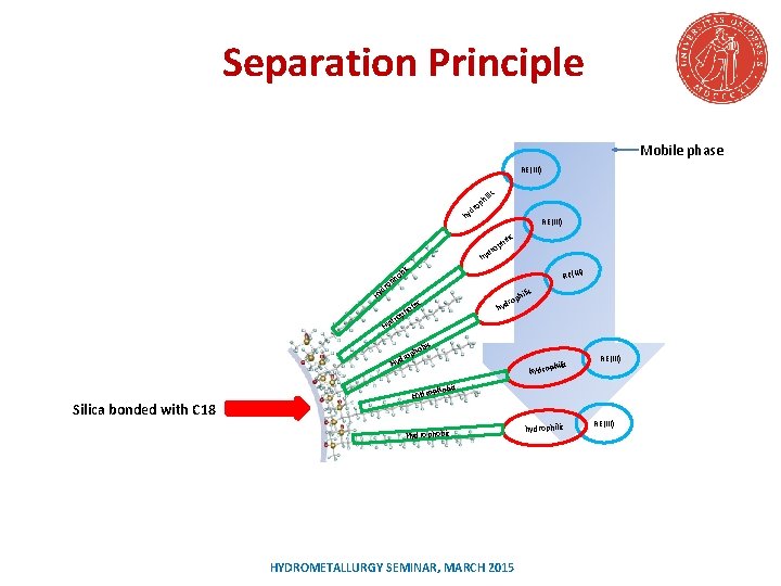 Separation Principle Mobile phase RE(III) ilic h op dr hy RE(III) ic hil op