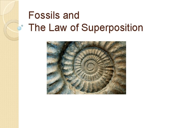 Fossils and The Law of Superposition 