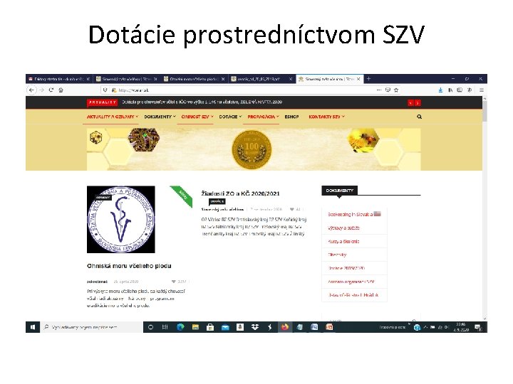 Dotácie prostredníctvom SZV 