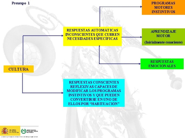 Prexexpo 1 PROGRAMAS MOTORES INSTINTIVOS RESPUESTAS AUTOMÁTICAS INCONSCIENTES QUE CUBREN NECESIDADES ESPECÍFICAS APRENDIZAJE MOTOR