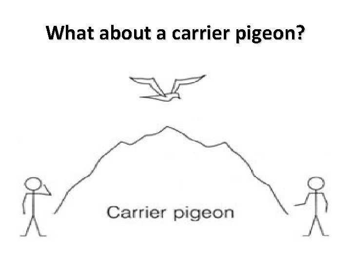 What about a carrier pigeon? 