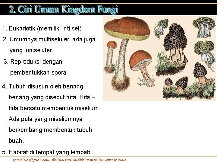 1. Eukariotik (memiliki inti sel) 2. Umumnya multiseluler, ada juga yang uniseluler. 3. Reproduksi 1. Eukariotik (memiliki inti sel) 2. Umumnya multiseluler, ada juga yang uniseluler. 3. Reproduksi