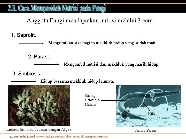 Anggota Fungi mendapatkan nutrisi melalui 3 cara : 1. Saprofit. Menguraikan sisa bagian makhluk Anggota Fungi mendapatkan nutrisi melalui 3 cara : 1. Saprofit. Menguraikan sisa bagian makhluk