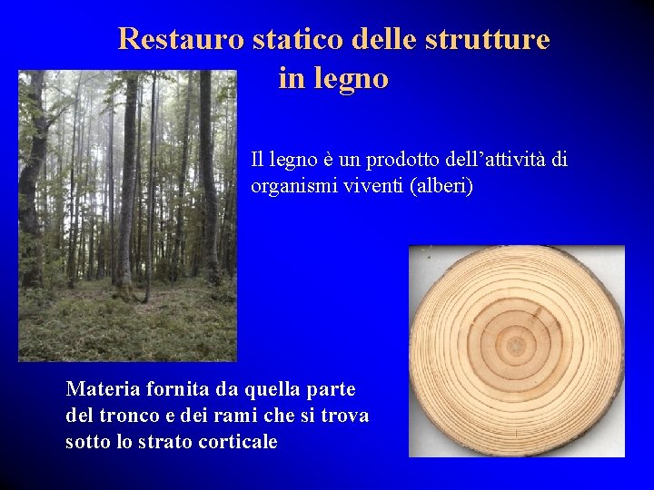 Restauro statico delle strutture in legno Il legno è un prodotto dell’attività di organismi