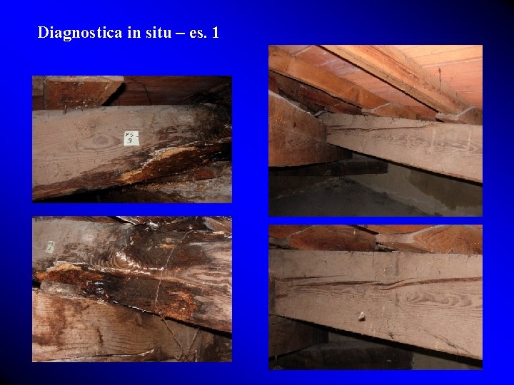 Diagnostica in situ – es. 1 