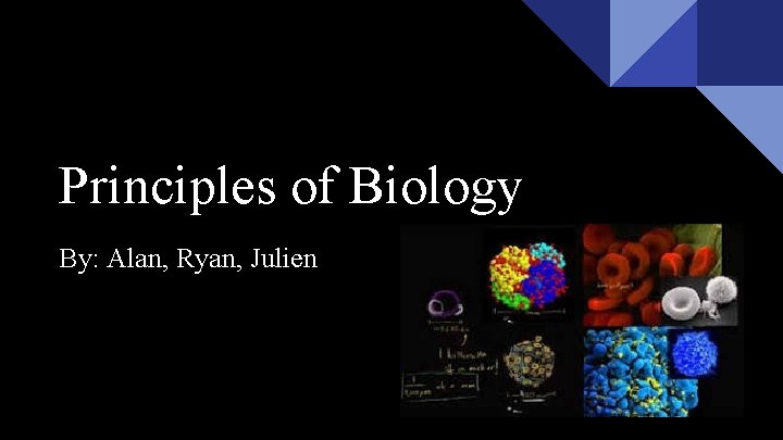 Principles of Biology By: Alan, Ryan, Julien 
