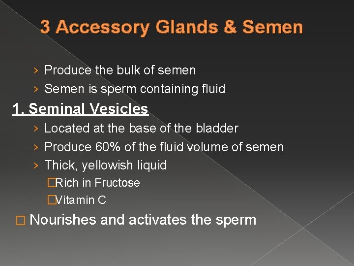 3 Accessory Glands & Semen › Produce the bulk of semen › Semen is