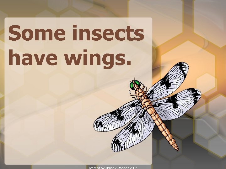 Some insects have wings. 