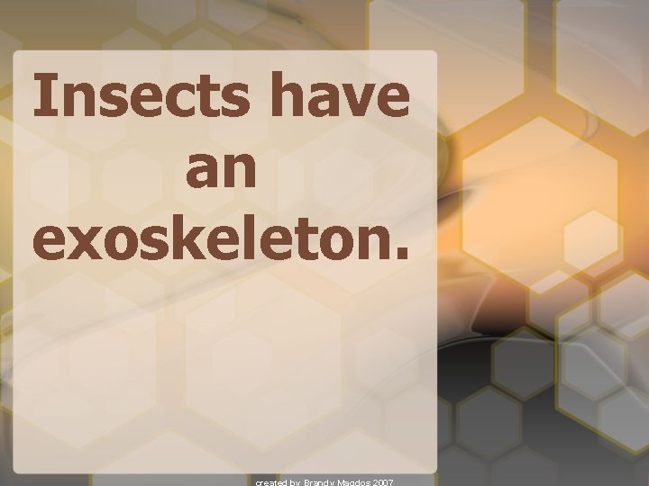 Insects have an exoskeleton. 