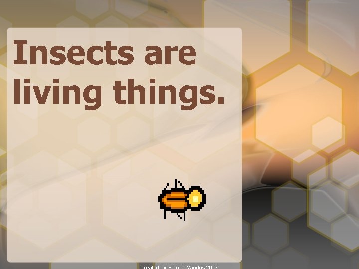 Insects are living things. 