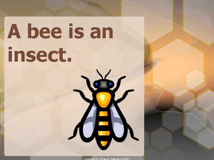 A bee is an insect. 