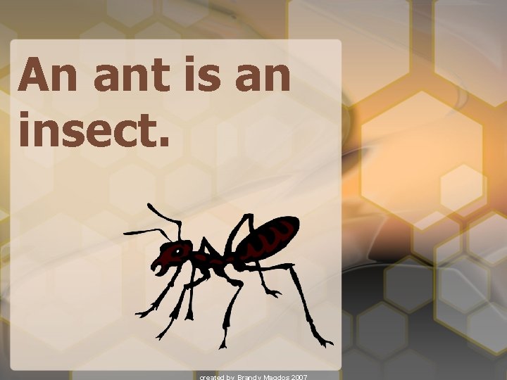 An ant is an insect. 