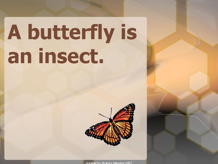 A butterfly is an insect. 
